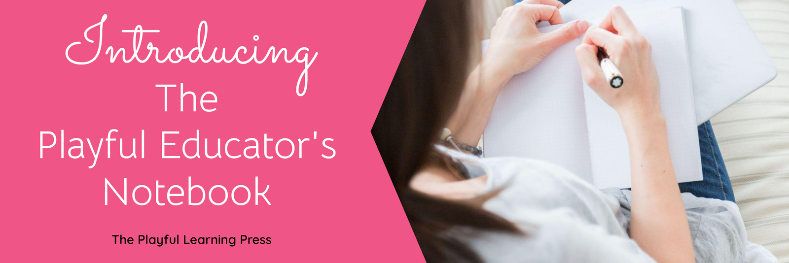 Introducing the Playful Educator's Notebook