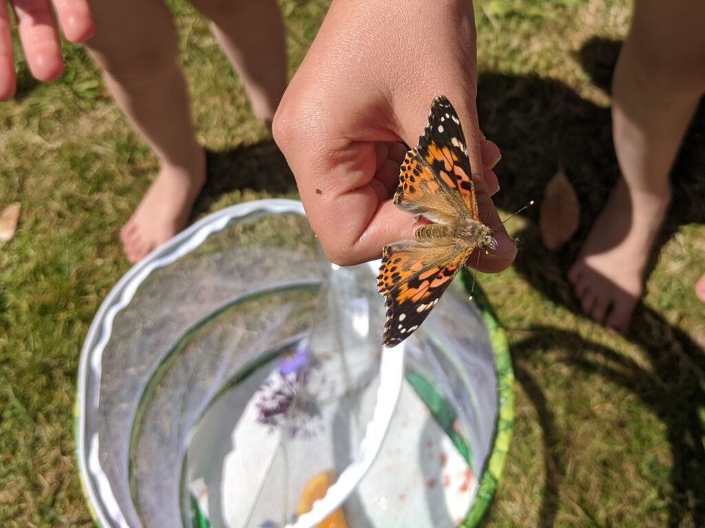 painted lady butterfly on child's hand